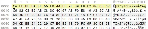 Encrypted class files with the CAFEBEBA magic