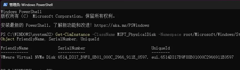 PowerShell disk query