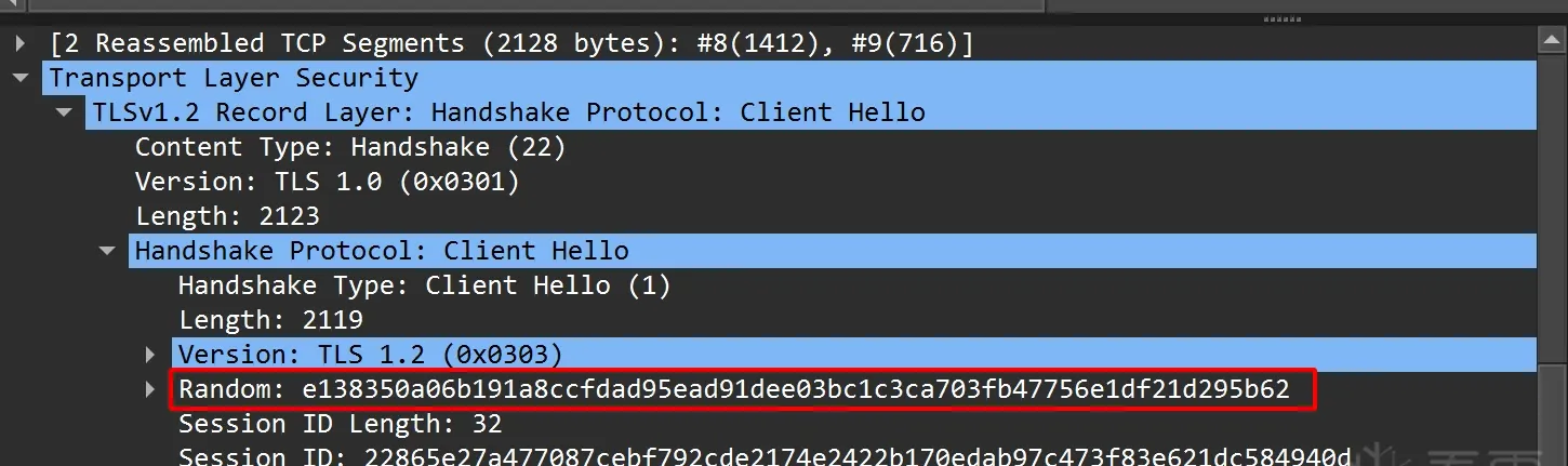 client_random in wireshark