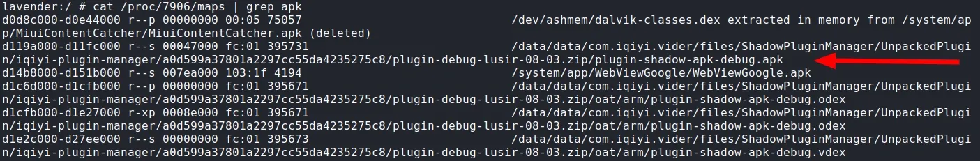 Maps of the plugin process