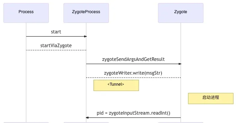 Zygote