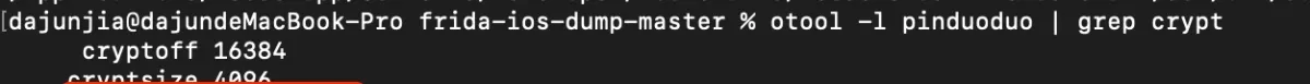 Successful dump output