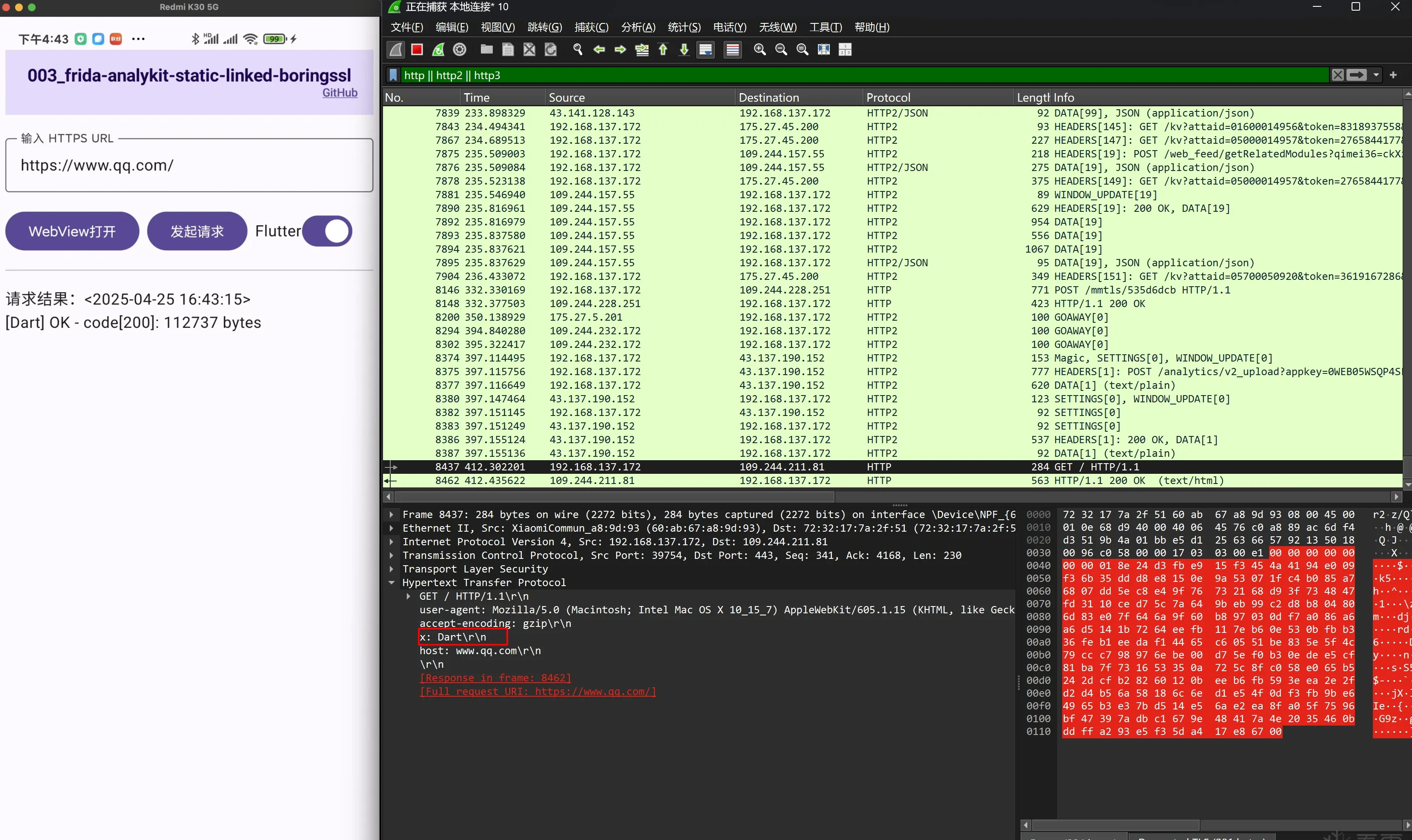Flutter Dart request Wireshark capture