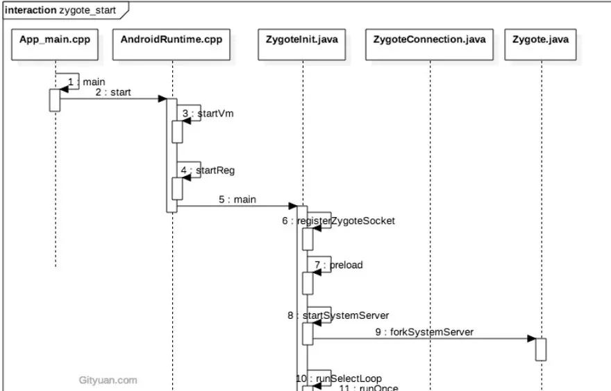 Zygote sequence