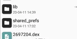 The two dumped dex files