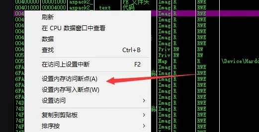 Memory breakpoint on the data section